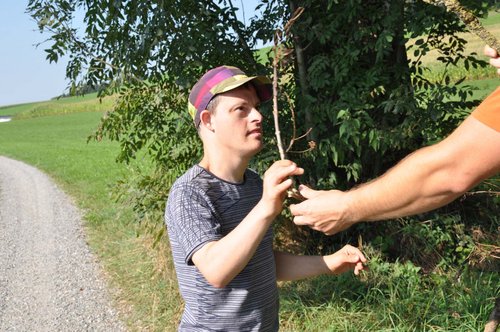 Bild 3 von 9