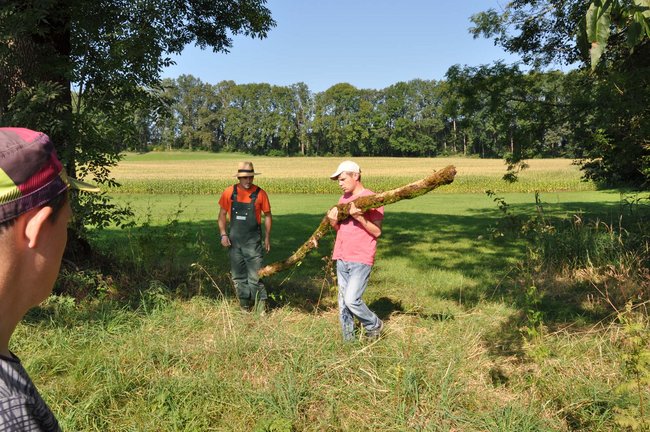Bild